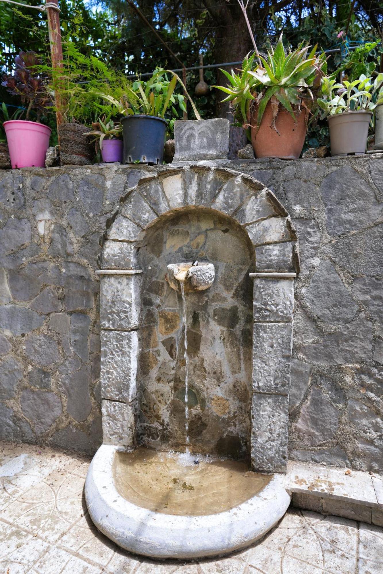 Vila Banushi Gjirokastër 外观 照片
