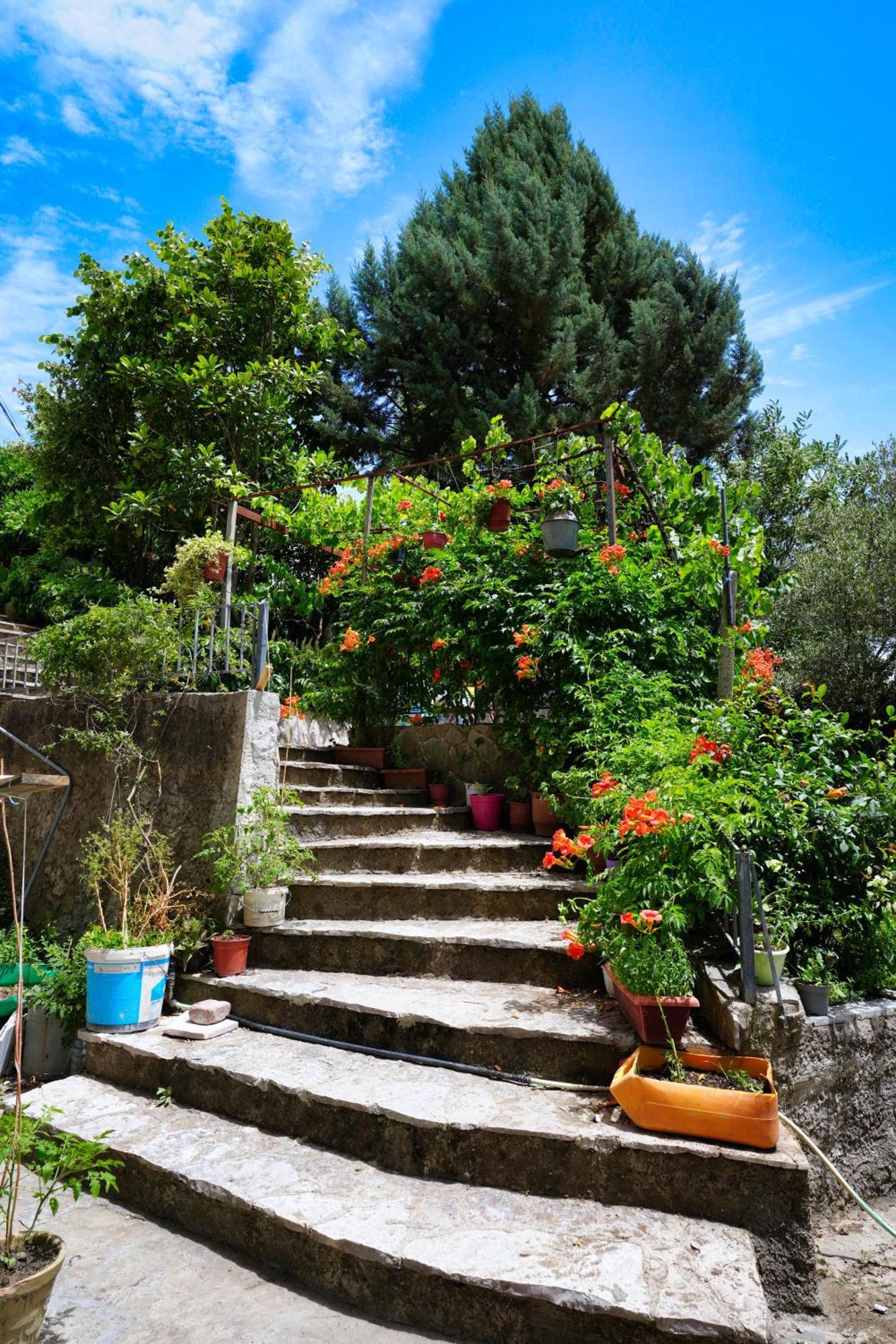 Vila Banushi Gjirokastër 外观 照片